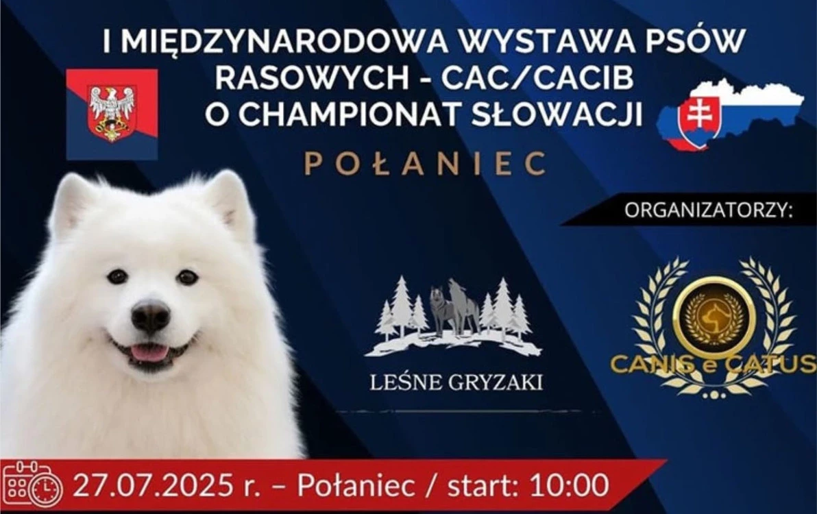 Zdjęcie do I Międzynarodowa wystawa ps&oacute;w rasowych - CAC/CACIB o Championat Słowacji